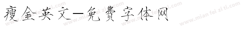 瘦金英文字体转换