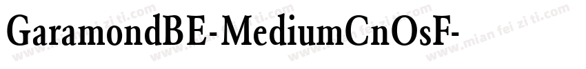 GaramondBE-MediumCnOsF字体转换