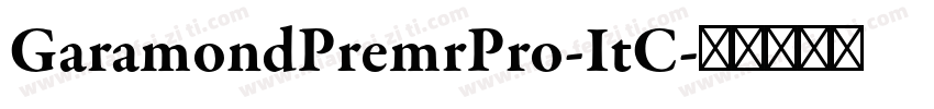 GaramondPremrPro-ItC字体转换