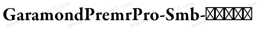 GaramondPremrPro-Smb字体转换