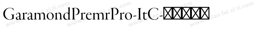 GaramondPremrPro-ItC字体转换