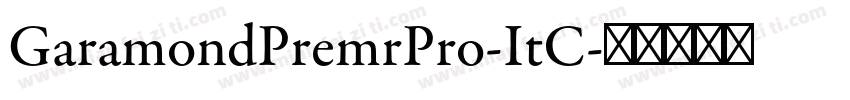 GaramondPremrPro-ItC字体转换