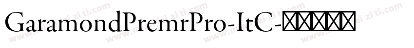 GaramondPremrPro-ItC字体转换