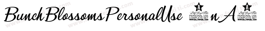 BunchBlossomsPersonalUse-0nA4字体转换