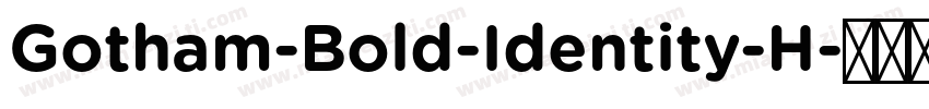Gotham-Bold-Identity-H字体转换