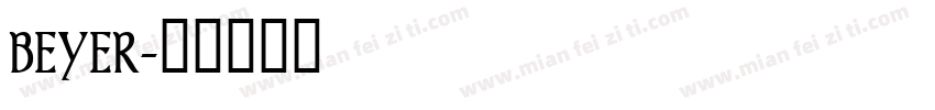 BEYER字体转换