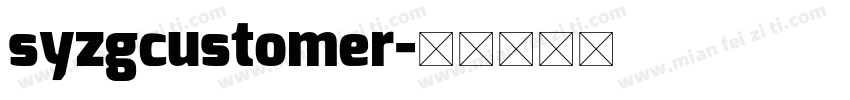 syzgcustomer字体转换