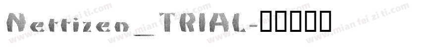 Nettizen_TRIAL字体转换