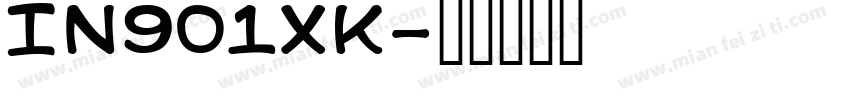 IN901XK字体转换