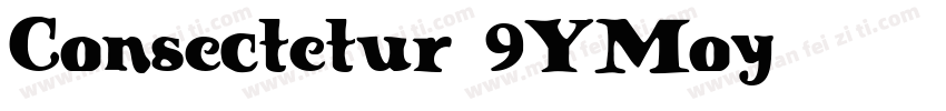 Consectetur-9YMoy字体转换