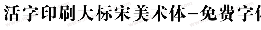 活字印刷大标宋美术体字体转换