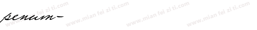 penum字体转换