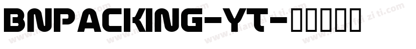 Bnpacking-YT字体转换