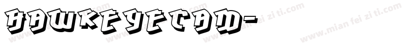 HawkeyeCam字体转换