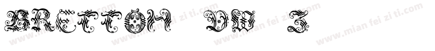 Bretton-dW5Z字体转换