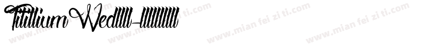 TitilliumWed粗体字体转换