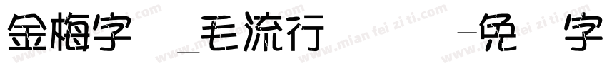 金梅字体_毛流行国际码字体转换