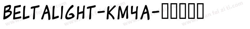 Beltalight-KM4A字体转换