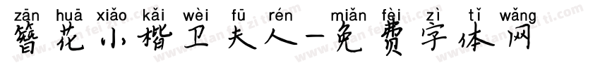 簪花小楷卫夫人字体转换