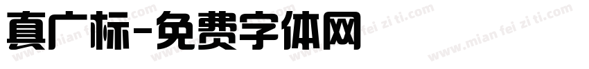 真广标字体转换