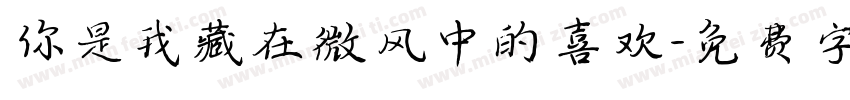 你是我藏在微风中的喜欢字体转换