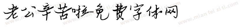 老公辛苦啦字体转换