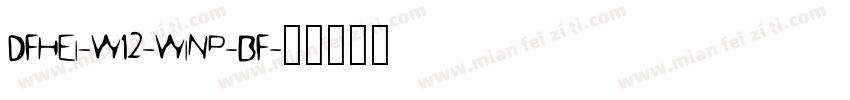 DFHEI-W12-WINP-BF字体转换