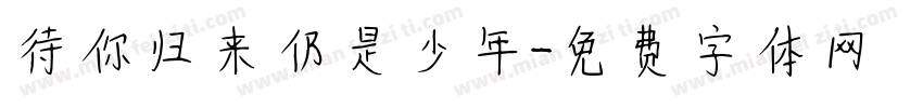待你归来仍是少年字体转换