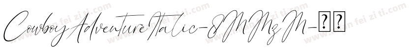 CowboyAdventureItalic-8MMzM字体转换