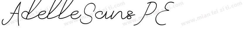 AdelleSansPE字体转换