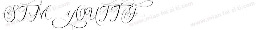STMYOUTTF字体转换