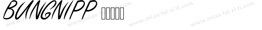 BUNGNIPP字体转换
