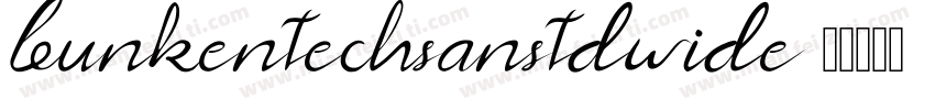 bunkentechsanstdwide字体转换
