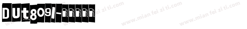 Dut809i字体转换