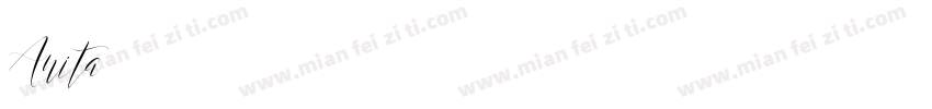 Anita字体转换