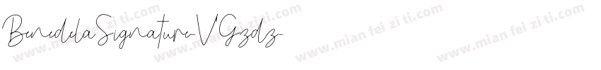 BenedelaSignature-VGzdz字体转换