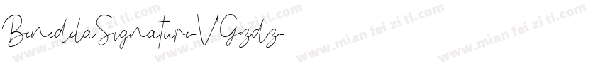 BenedelaSignature-VGzdz字体转换