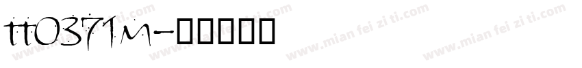 tt0371m字体转换