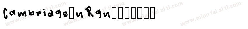 Cambridge-nRgn4字体转换