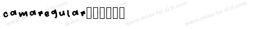 camaregular字体转换