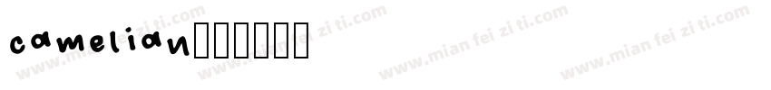 camelian字体转换