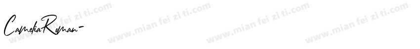CameliaRoman字体转换