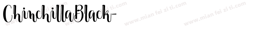 ChinchillaBlack字体转换