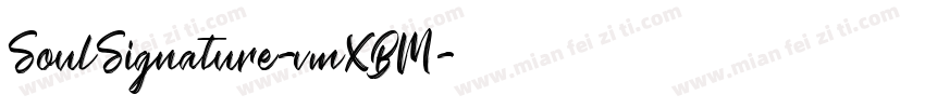 SoulSignature-vmXBM字体转换