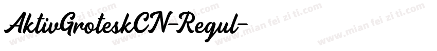 AktivGroteskCN-Regul字体转换