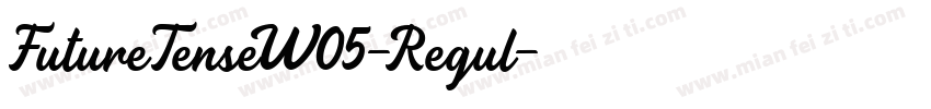 FutureTenseW05-Regul字体转换
