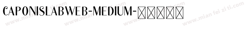 caponislabweb-medium字体转换