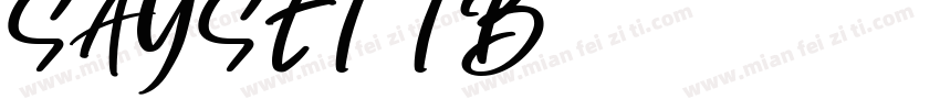 SAYSETTB字体转换