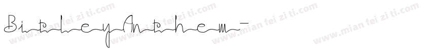 BitleyAnthem字体转换