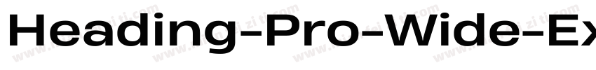 Heading-Pro-Wide-ExtraBold-Italic-t字体转换